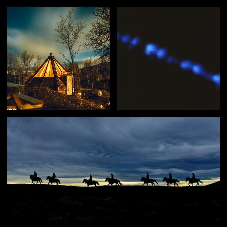 Hessdalen Ufocamp Lägenhet Vårhus Exteriör bild